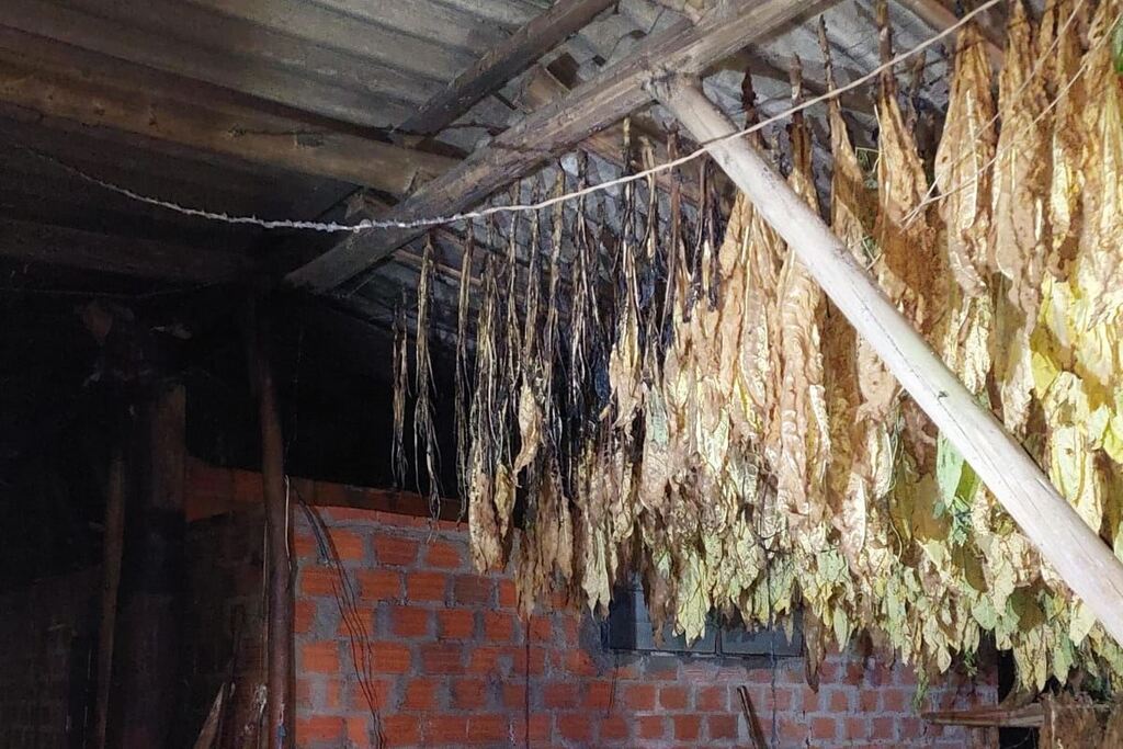 título imagem Estufa de fumo é atingida pelo fogo em Agudo