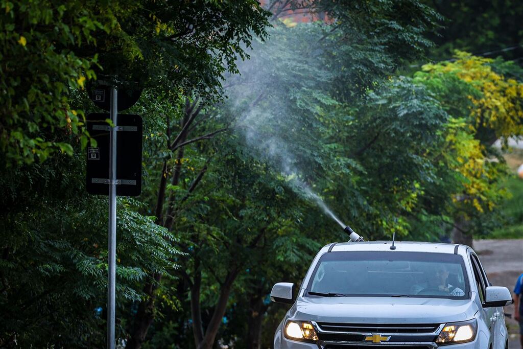 Crescimento nos casos de dengue faz Estado e cidades anteciparem ações
