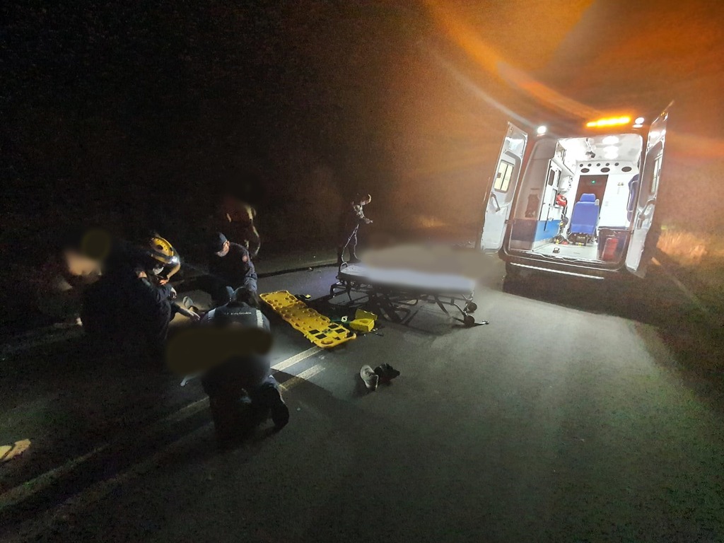 título imagem Boi solto causa a morte de motociclista em rodovia da região