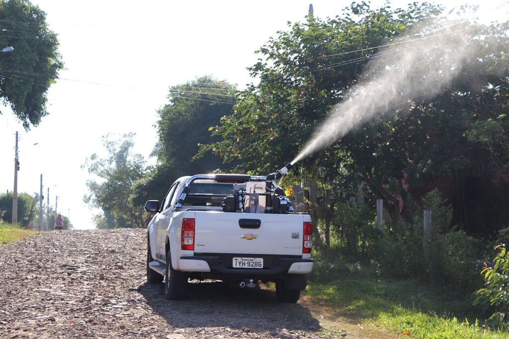 Número de casos de dengue aumenta e Santa Maria já planeja novas ações