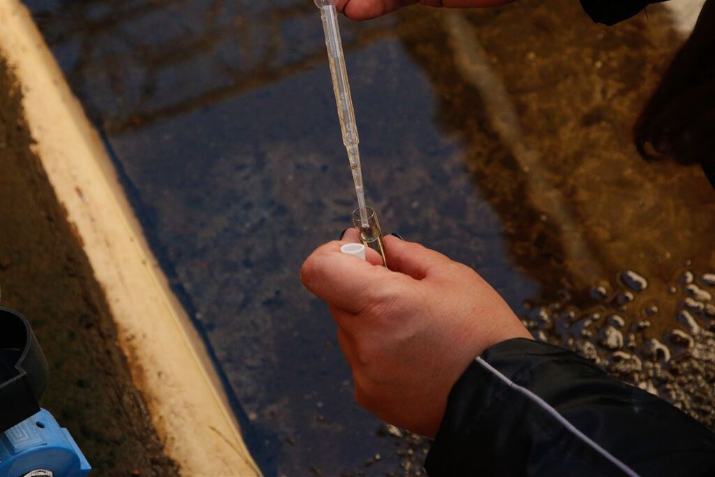 título imagem Rio Grande do Sul registra quinto óbito por dengue em 2024; três casos são de um mesmo município