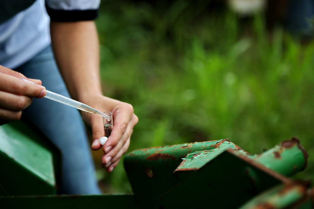 título imagem Cidade da região registra primeira morte por dengue em 2024 e Estado chega a seis óbitos pela doença