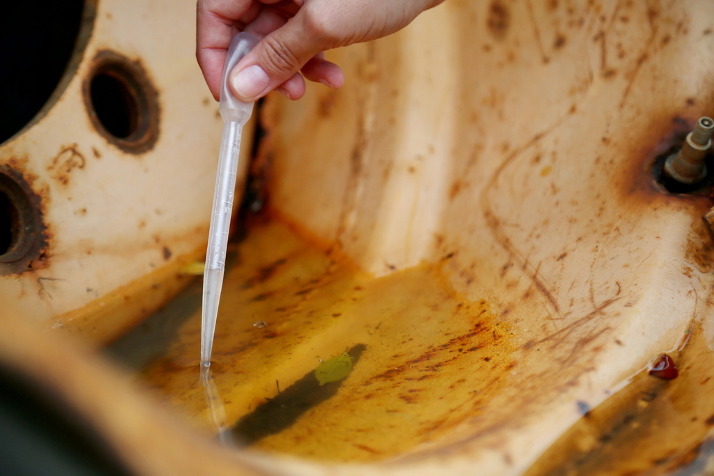 Rio Grande do Sul registra 11 mortes por dengue em 2024