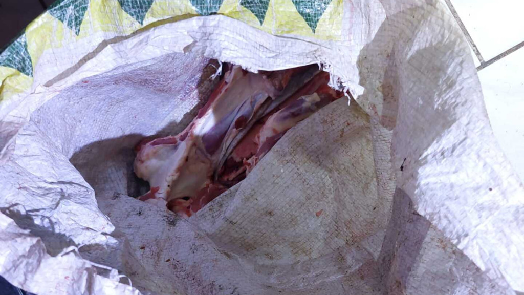 título imagem Jovem é preso por abigeato e quatro suspeitos do crime fogem em cidade da região