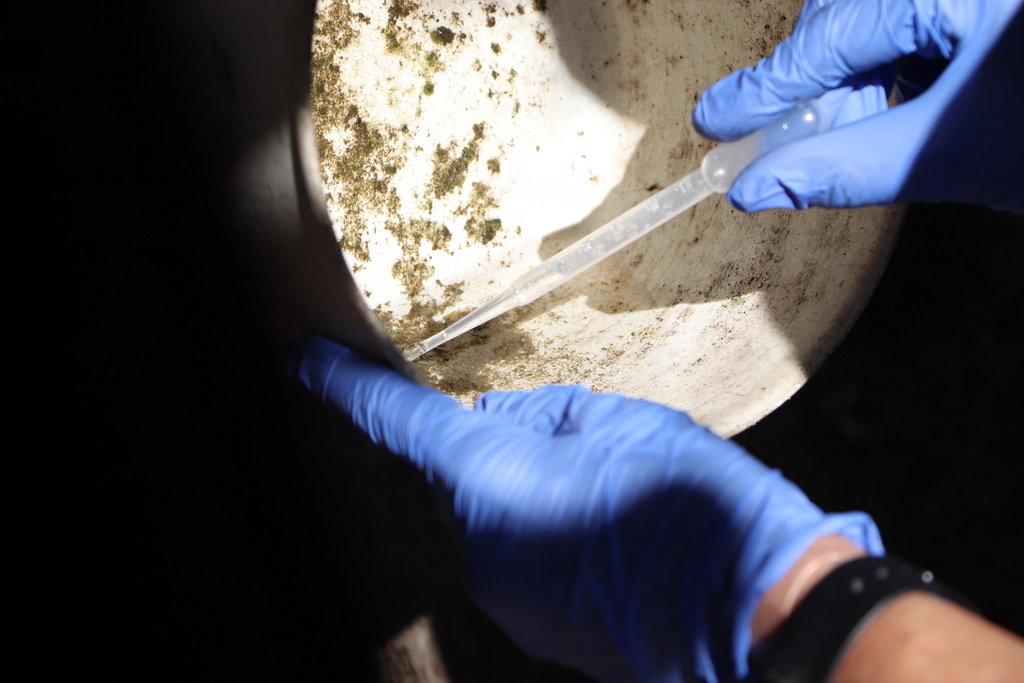 título imagem Mais três mortes por dengue são registradas no Estado; uma das vítimas tem menos de 30 anos