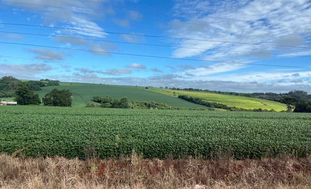 Emater projeta safra recorde e com produtividade de 55 sacas por hectare na soja