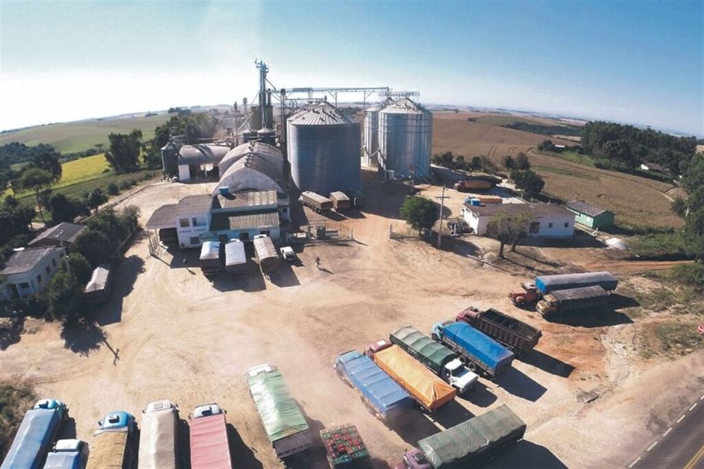 Cooperativa Tritícola Caçapavana superou R$ 1 bilhão de faturamento em 2023 e ampliou empregos