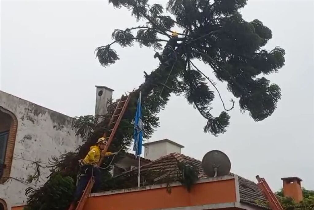 Foto: Gilberto Ferreira - 