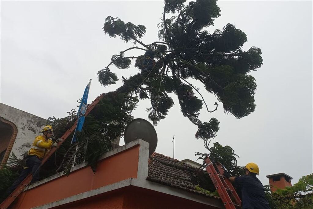 Foto: Gilberto Ferreira - 