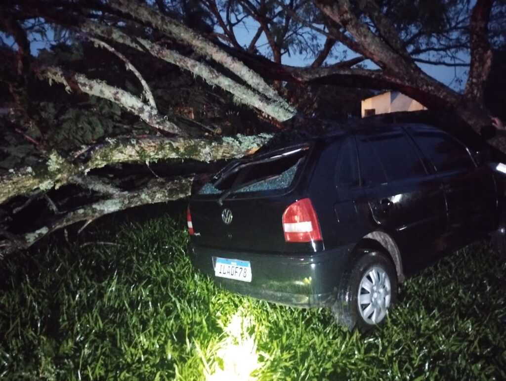 Temporal com ventos de 81 km/h provoca queda de árvores e destelhamento de residências em Santiago