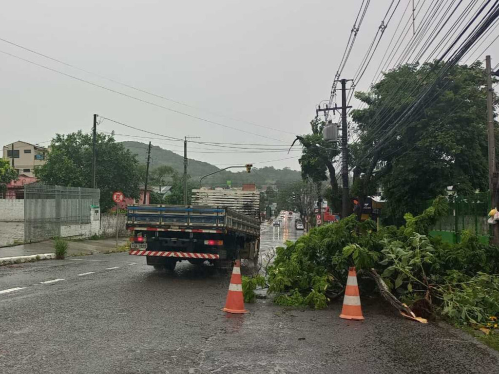 título imagem Após temporal, mais de 11 mil clientes estão sem luz em Santa Maria