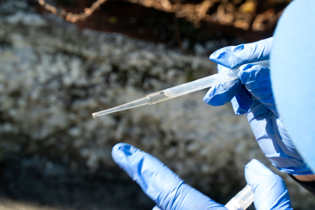 Brasil registra mais de 2 milhões de casos de dengue