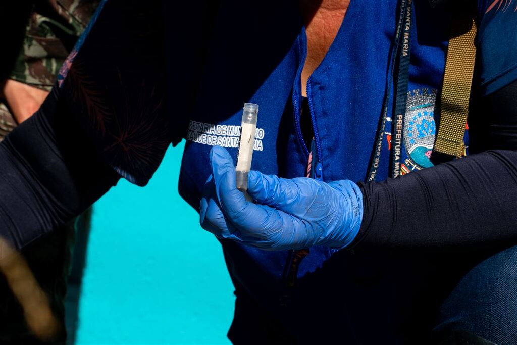 título imagem Em apenas quatro meses, Santa Maria registra mais de 700 notificações de possíveis casos de dengue