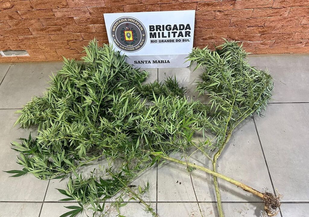 Foto: Brigada Militar (Divulgação) - 
