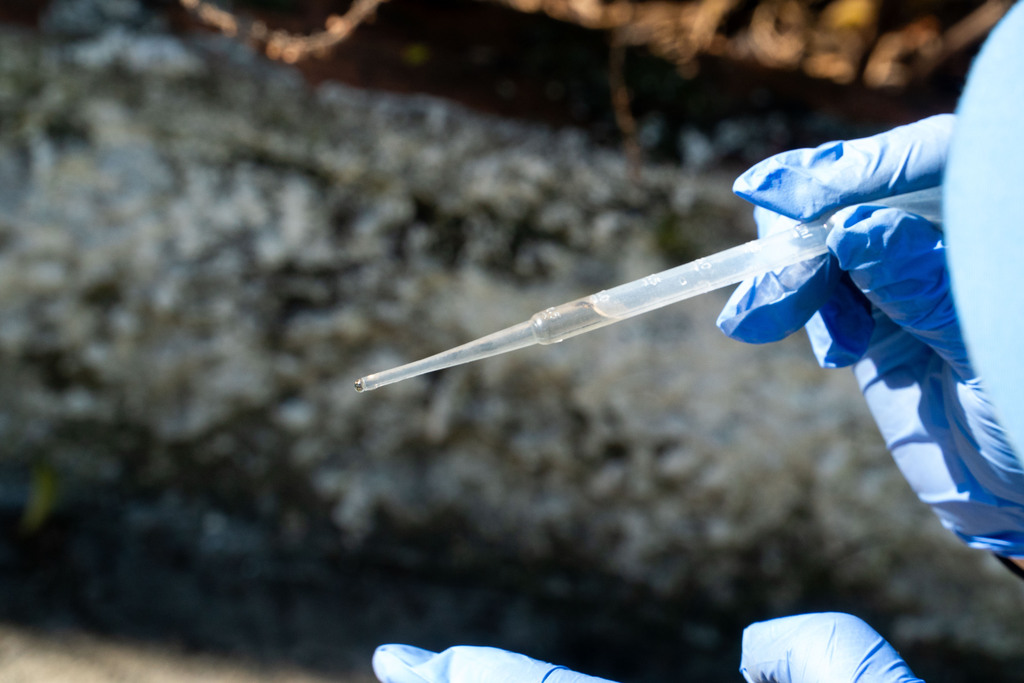 Brasil já tem mais de 3 milhões de casos de dengue em 2024