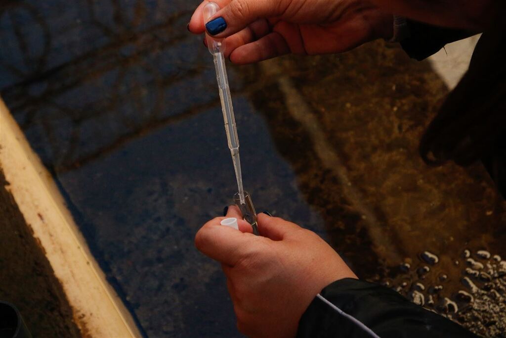 título imagem Rio Grande do Sul confirma mais cinco mortes e sobe para 78 o número de óbitos por dengue