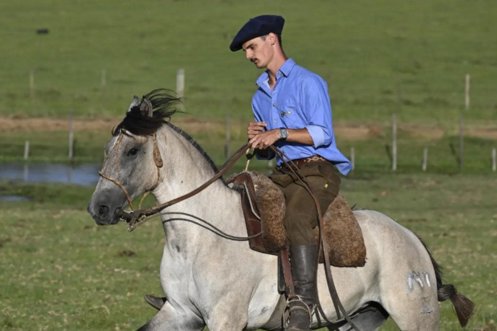 Jovem de 23 anos morre após carro capotar na Faixa Velha de Camobi