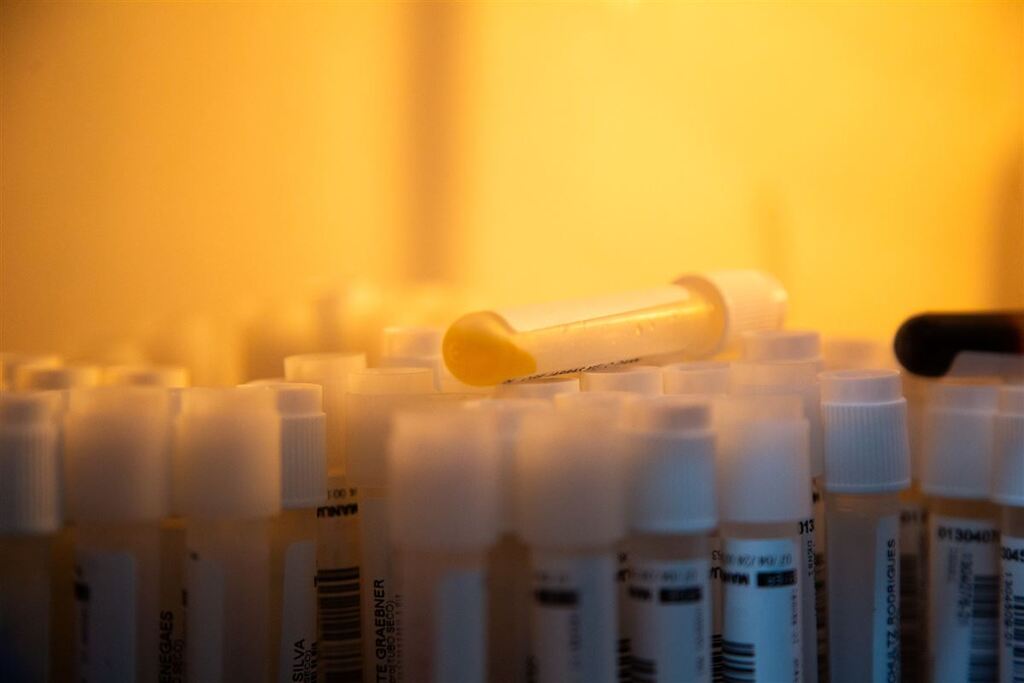 título imagem Santa Maria ultrapassa 750 casos confirmados de dengue em 2024