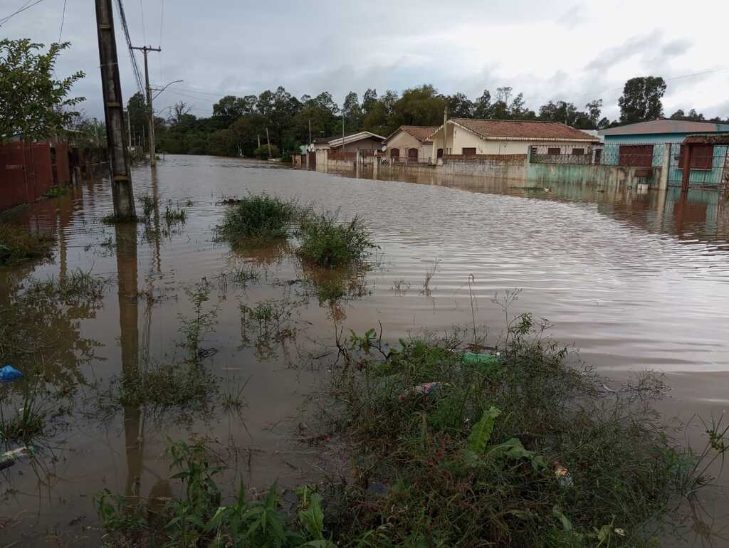 São Gabriel contabiliza R$ 170 milhões de prejuízo na safra de soja; município necessita de doações de material de limpeza e utensílios para casa São Gabriel contabiliza R$ 170 milhões de prejuízo na safra de soja; município necessita de doações de material de limpeza e utensílios para casa