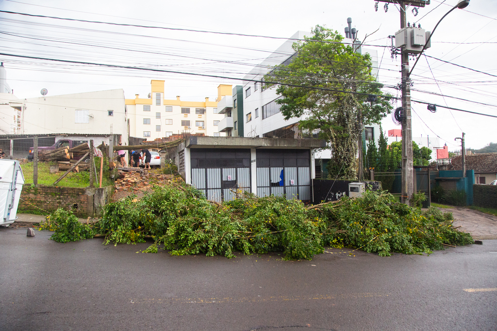 Fotos: Beto Albert (Diário) - 