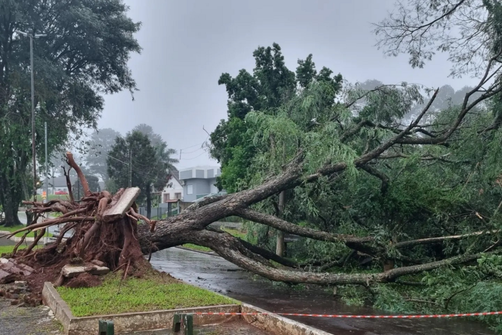 título imagem Vento forte, chuva e granizo causam estragos em Cruz Alta; 11 casas foram destelhadas