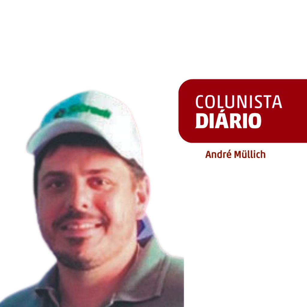 Tecnologias e manejos de conservação do solo e da água para minimizar a erosão do solo e as perdas de água e nutrientes