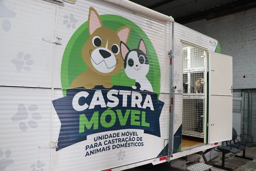 título imagem Castramóvel oferece 60 vagas para cirurgia de cães e gatos nesta terça em Santa Maria; veja como solicitar