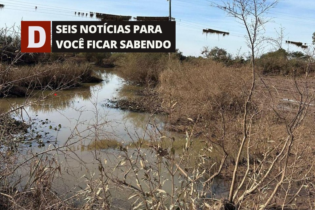 Região chega a 12 mortos pelas chuvas e outras 5 notícias pra você ficar sabendo