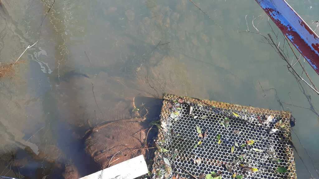 título imagem Bairros de Santa Maria terão serviços de água interrompidos nesta terça-feira; Saiba quais locais ficarão sem abastecimento