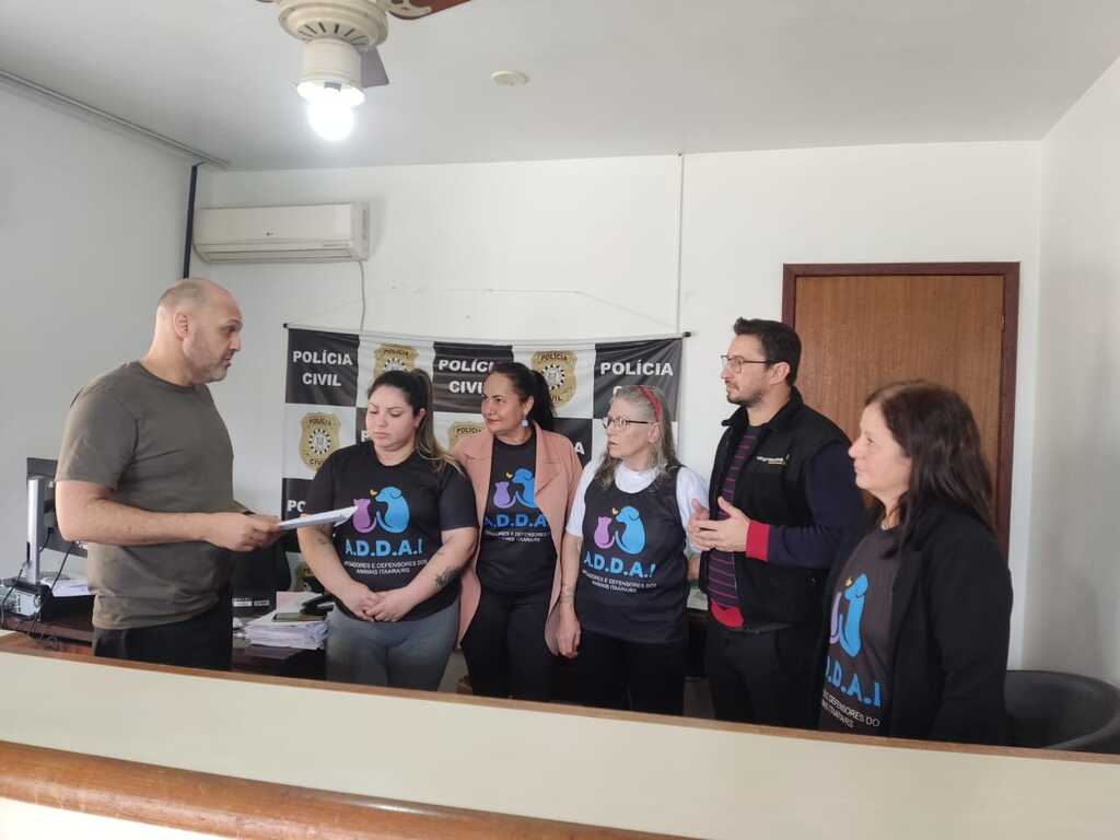 Foto: Divulgação - 