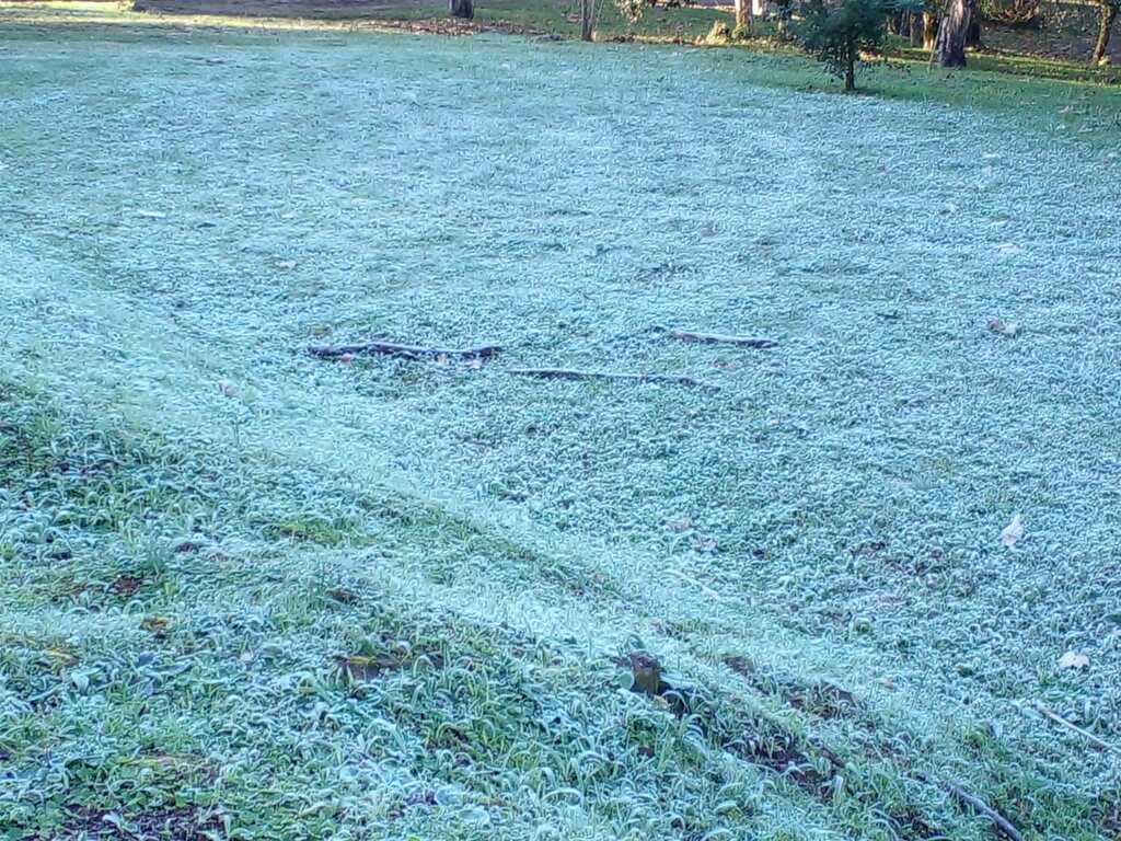 Previsão do tempo aponta que semana deve iniciar com geada na Região Central