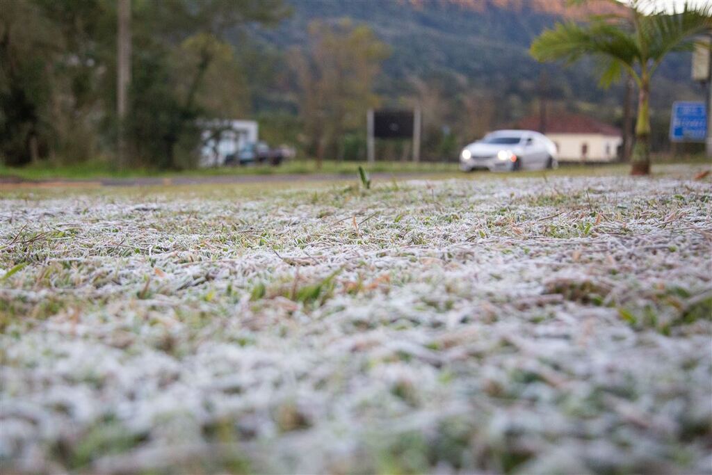 Fotos: Beto Albert (Diário) - A geada é um tipo de depósito de gelo cristalino, em forma de agulhas, prismas, escamas, dentre outros.