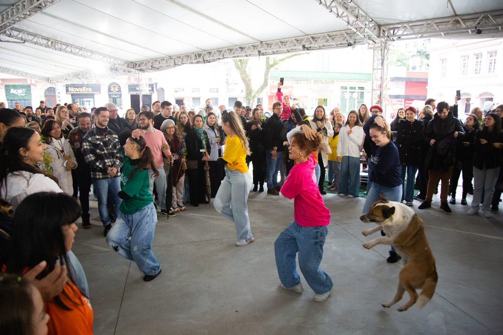 título imagem VÍDEO: Jeff, o famoso cão de Santa Maria, rouba a cena em apresentação de dança na Praça Saldanha Marinho