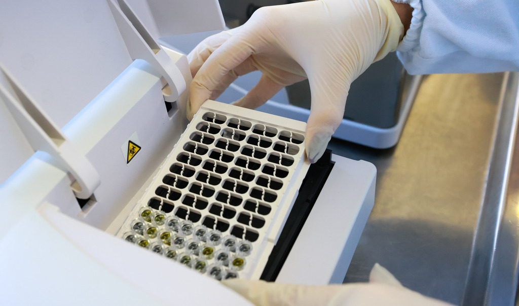 Santa Maria registra 14º óbito por dengue neste ano 