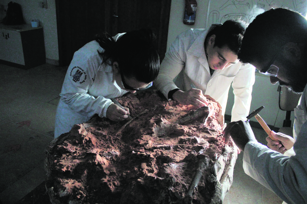 Erosão causada pela enchente revela fóssil quase completo de um dinossauro