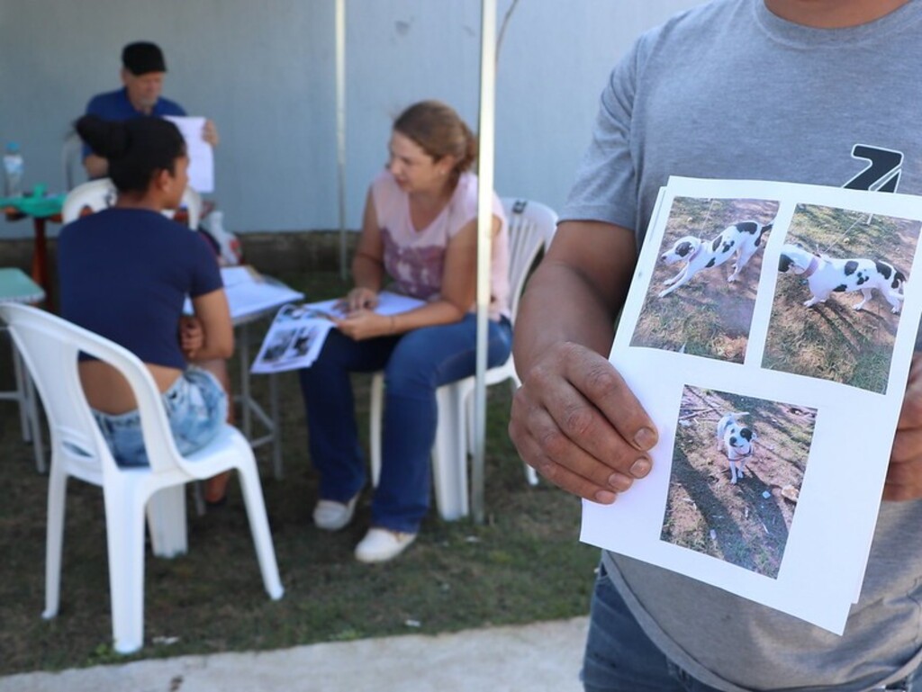 título imagem Castramóvel realiza inscrições de cães no Bairro Campestre do Menino Deus nesta sexta; veja os requisitos
