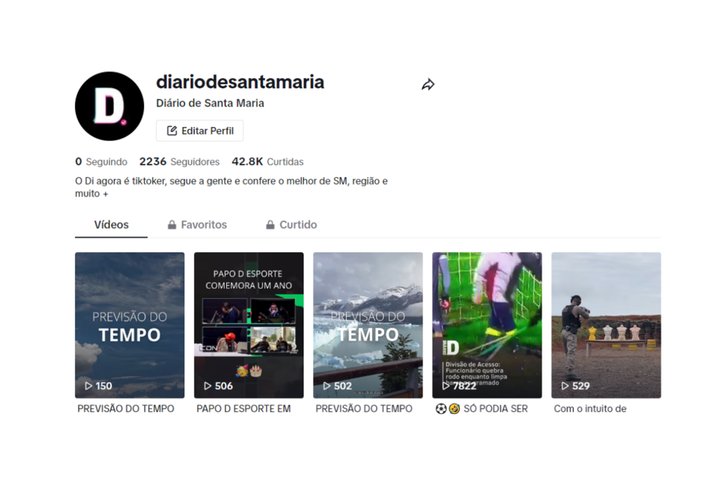 Diário no TikTok: saiba como acompanhar as produções na rede social 