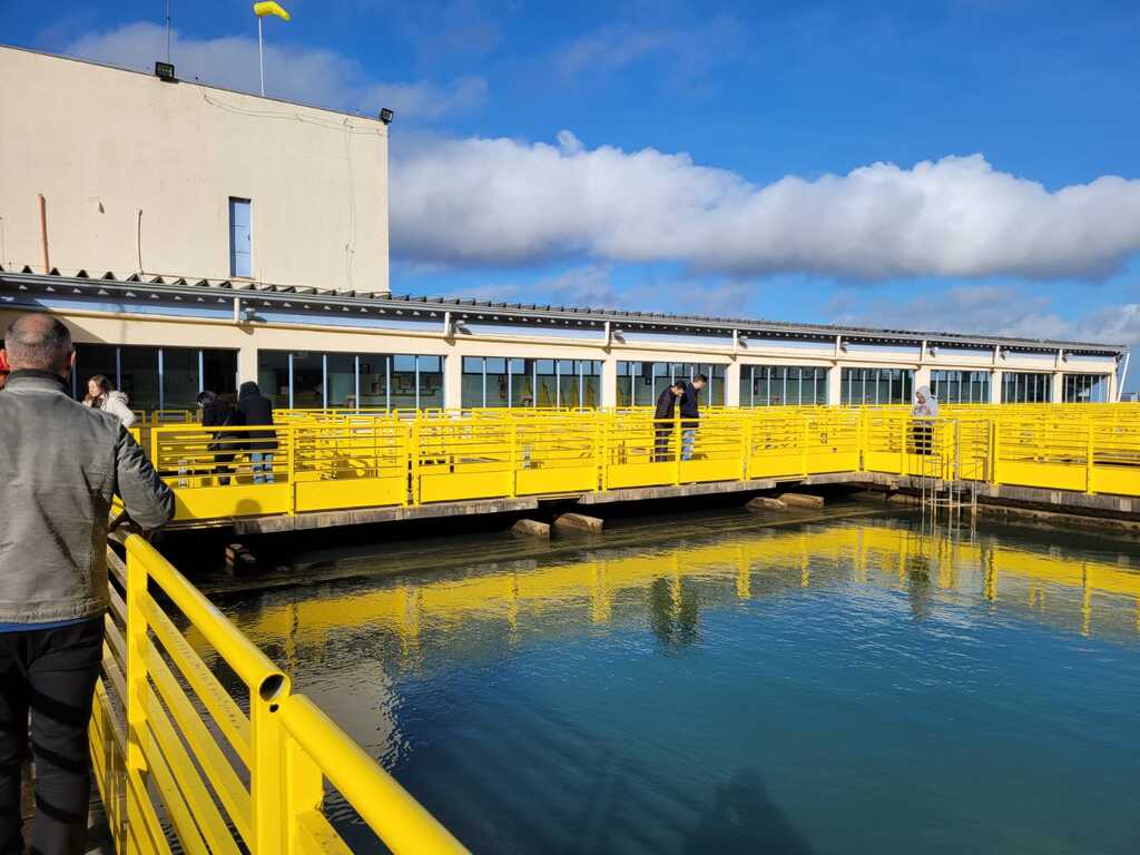 Divulgação - Programa Portas Abertas promove visitas de estudantes do ensino fundamental ao superior