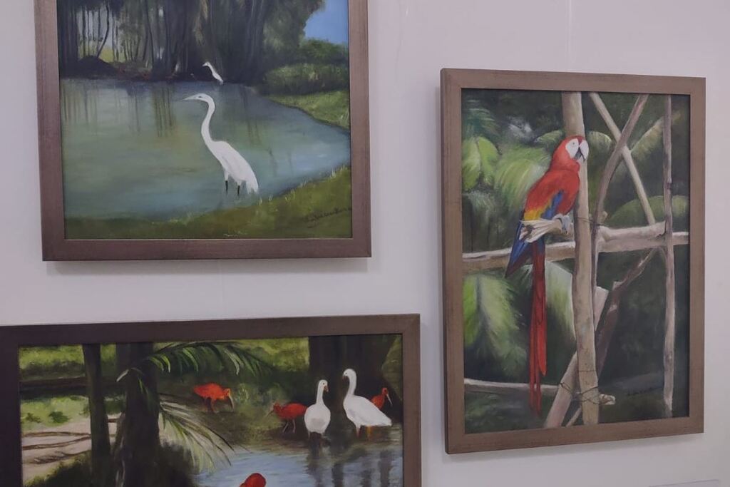 título imagem Exposição 