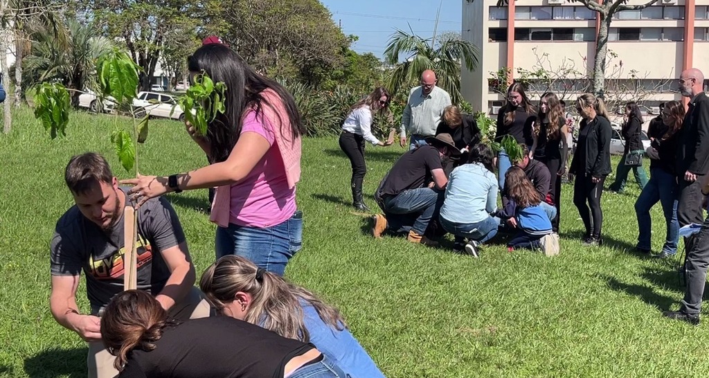 Mudas são plantadas em homenagem a professores da UFSM mortos em assalto a hotel no norte do RS Mudas são plantadas em homenagem a professores da UFSM mortos em assalto a hotel no norte do RS