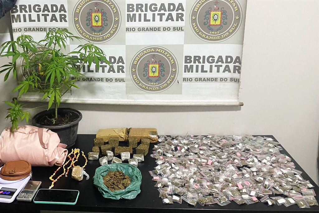título imagem Mulher é presa com 392 porções de drogas e pé de maconha em Santa Maria