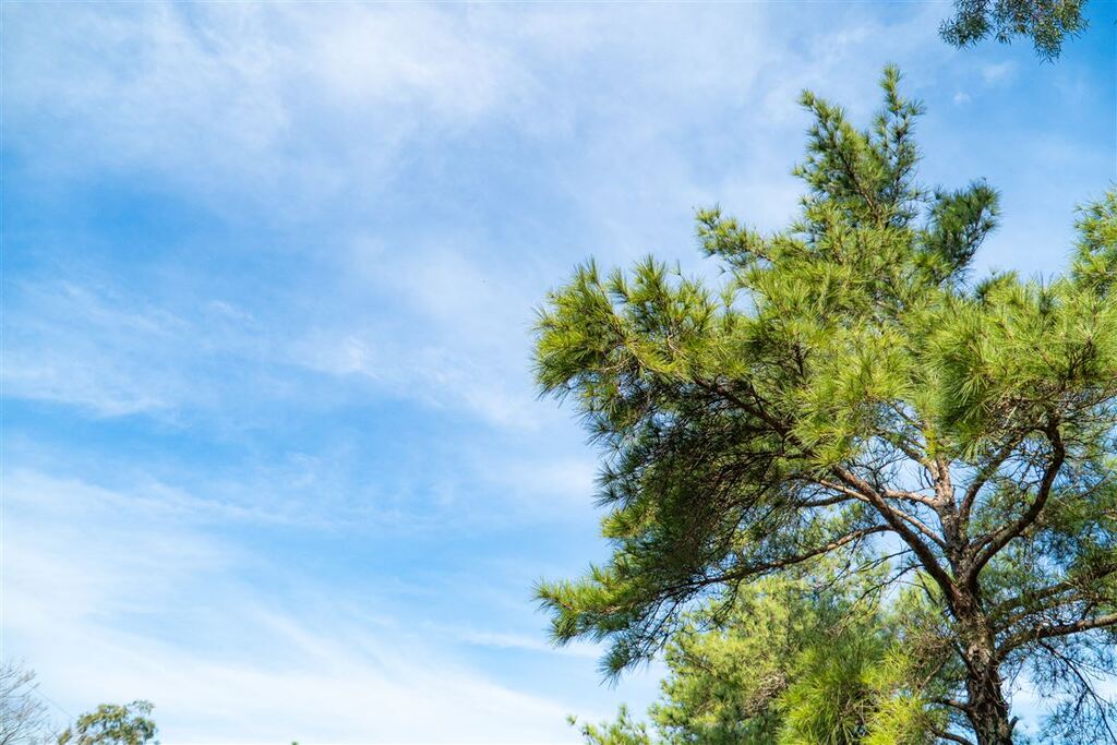título imagem Com máxima acima dos 35°C, Santa Maria registra a maior temperatura desta primavera