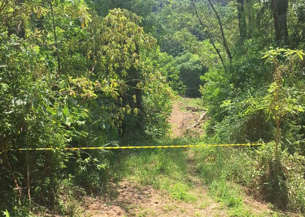 Foto: Polícia Civil (Divulgação) - 