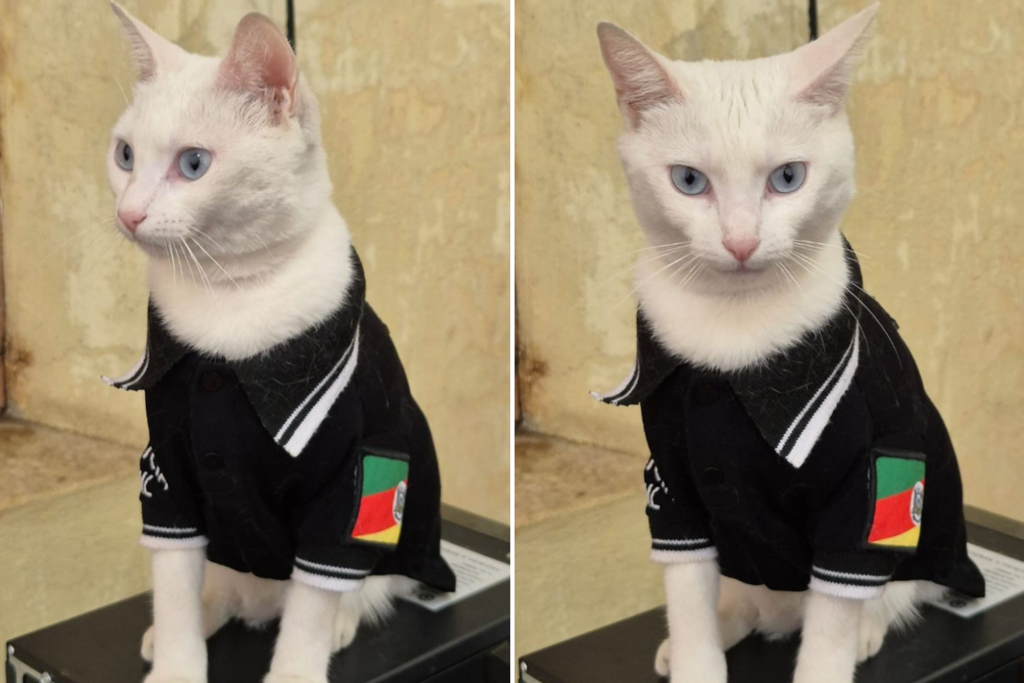 Foto: Instagram - Thai tem até uniforme com a identificação da Polícia Civil.