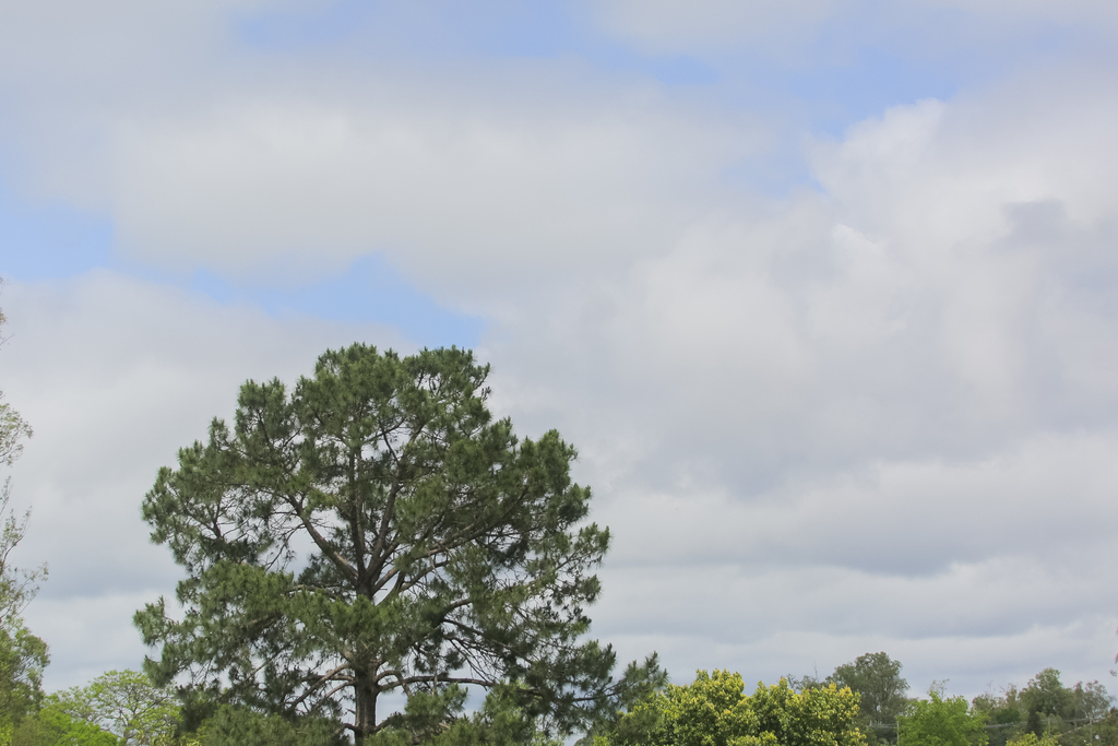 Quinta inicia com nebulosidade e temperaturas amenas; próximos dias podem ter máximas acima dos 30°C