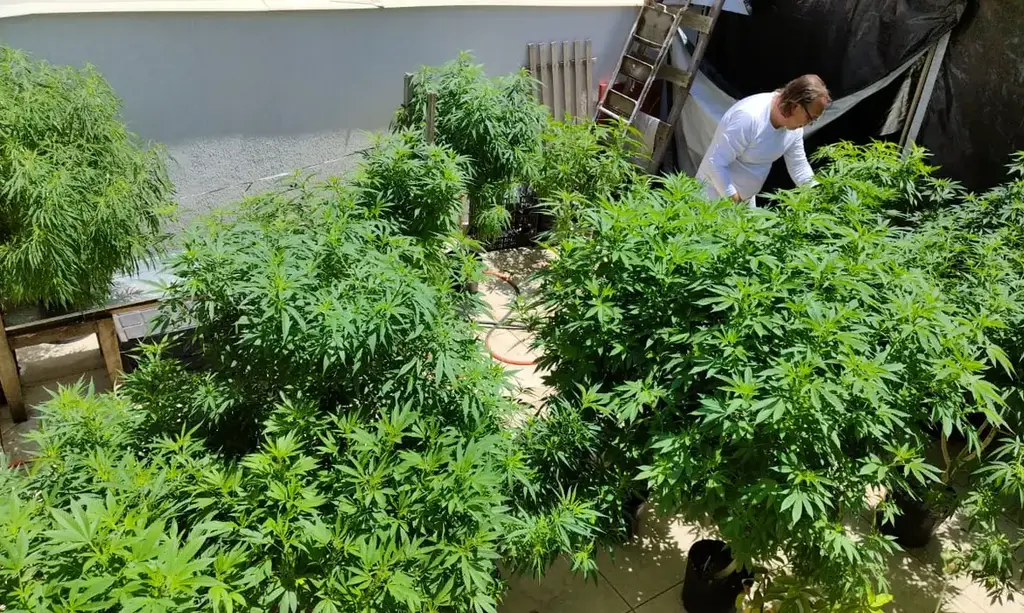 Foto:  Prexels - Dado consta do anuário produzido pela Kaya Mind divulgado na terça (26).