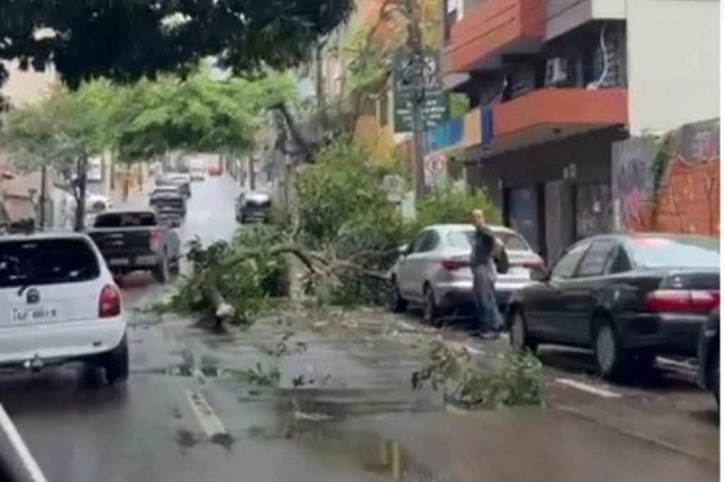 título imagem Galho de árvore cai e interfere no trânsito no centro de Santa Maria