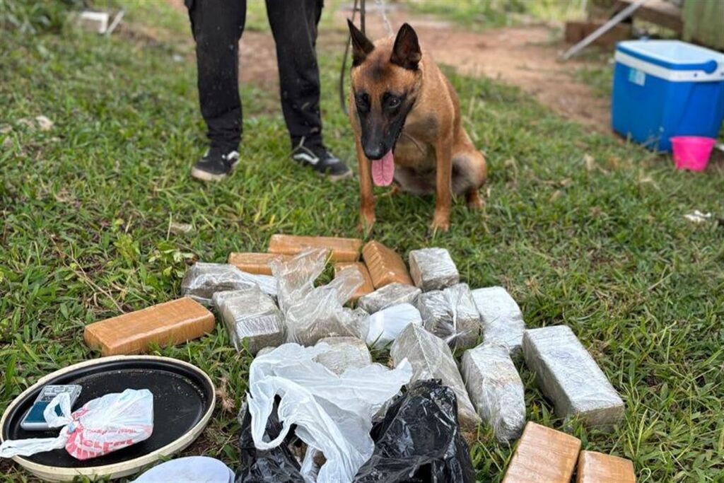 título imagem Jovem é preso com quase R$ 320 mil em drogas em cidade da região