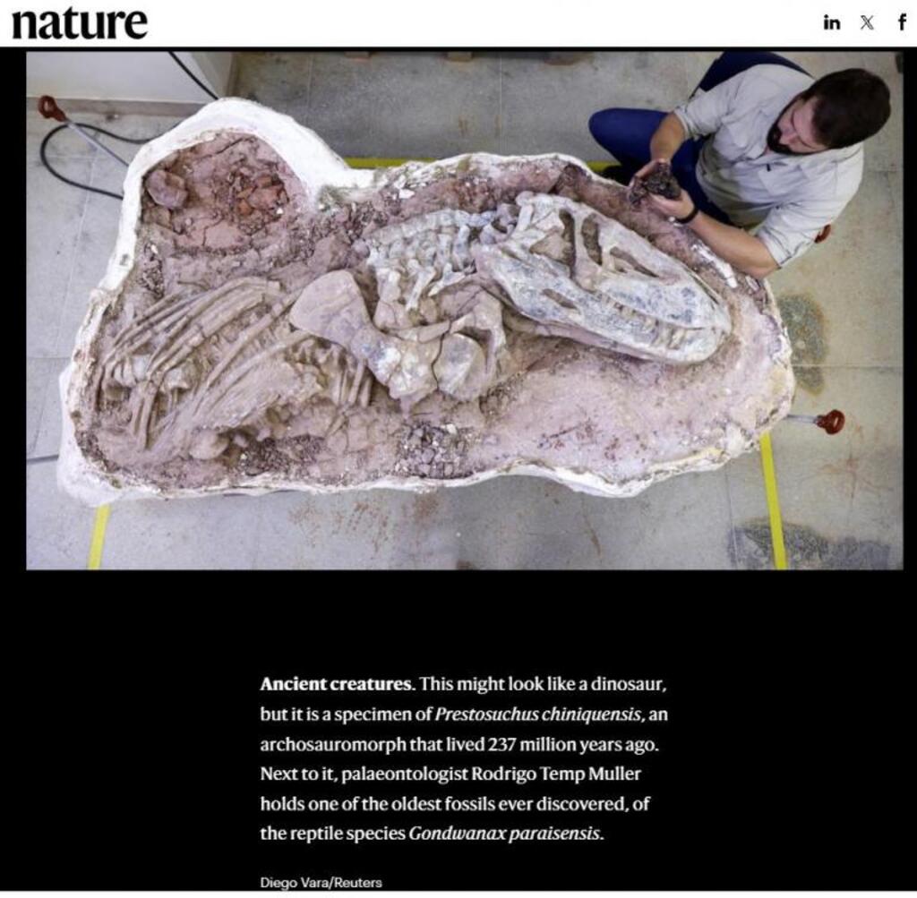 Nature, Reprodução - 