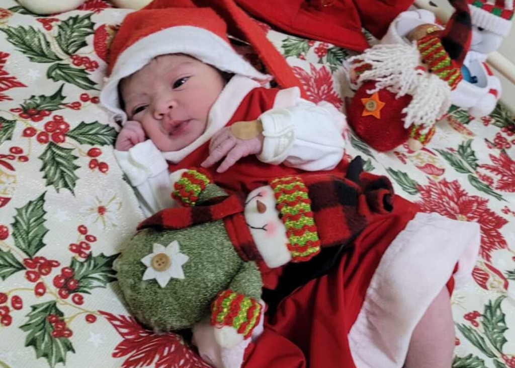 Galeria de imagens: Rebeca